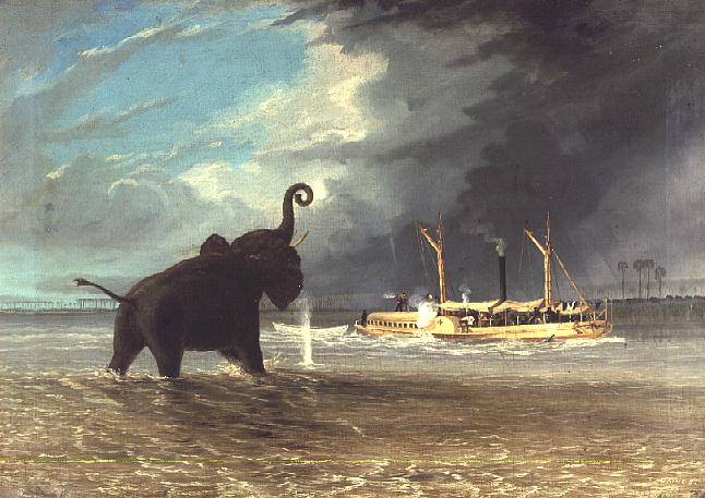 Ma Robert and Elephants in the Shallows of the Shire River 1858