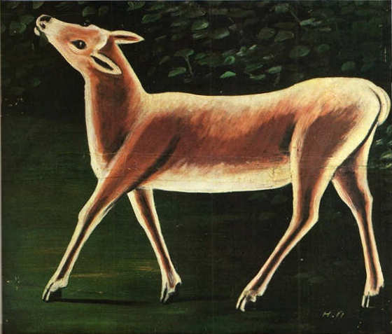 A Doe Walking