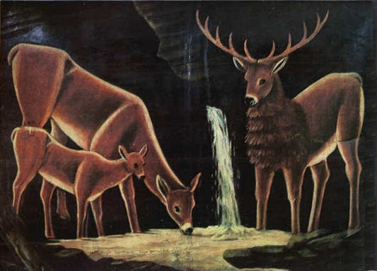 A Family Of Deer