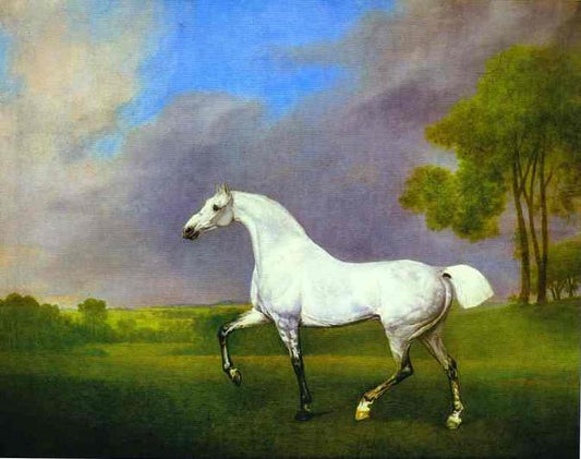 A Grey Horse