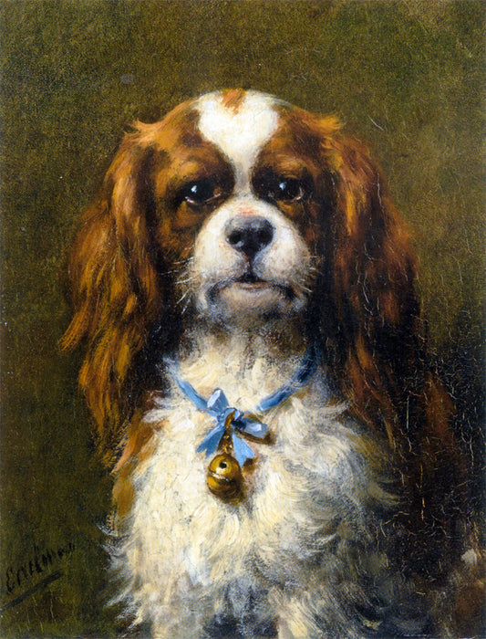 A King Charles Spaniel with a Blue Ribbon