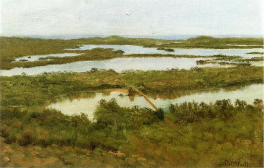 A River Estuary