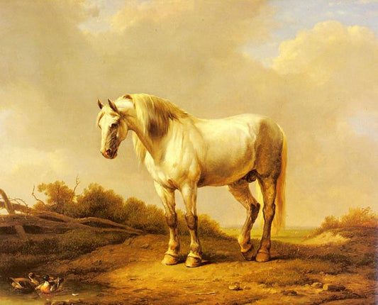 A White Stallion In A Landscape