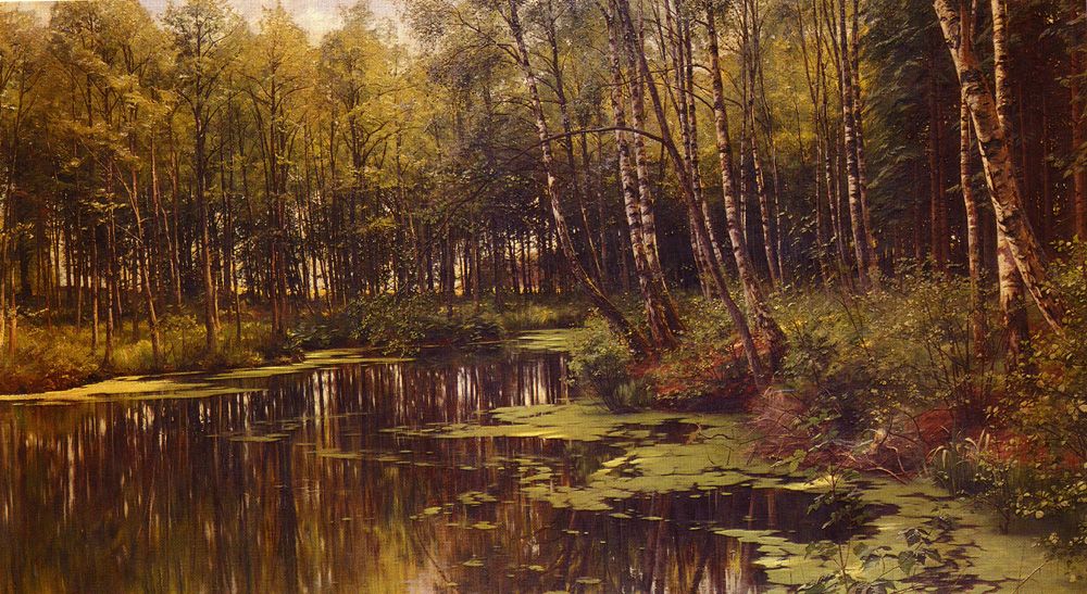 A Woodland Pond