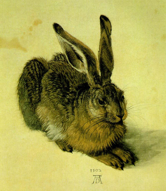 A Young Hare