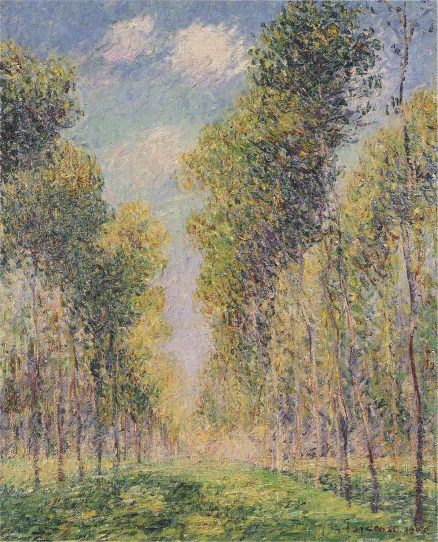 Alley of Poplars