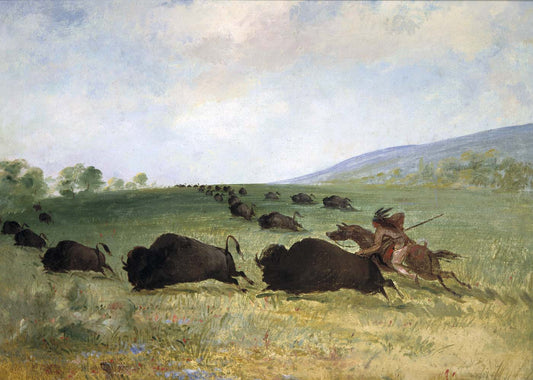 An Osage Indian Lancing a Buffalo