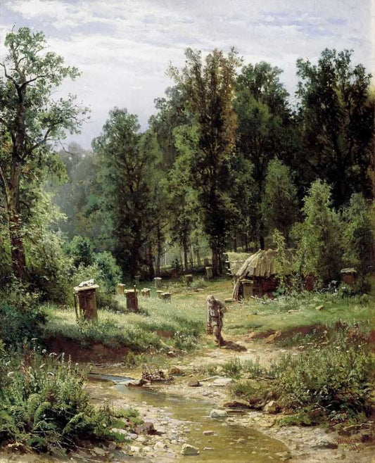 Apiary in a Forest