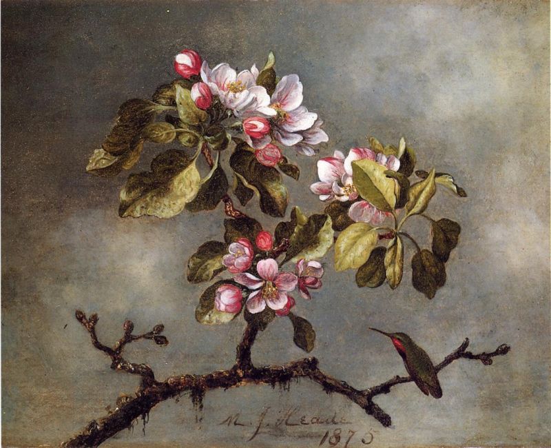 Apple Blossoms and Hummingbird II