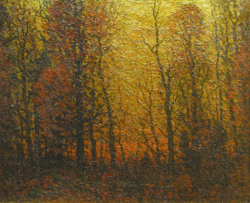 Autumn Sunset Through the Trees