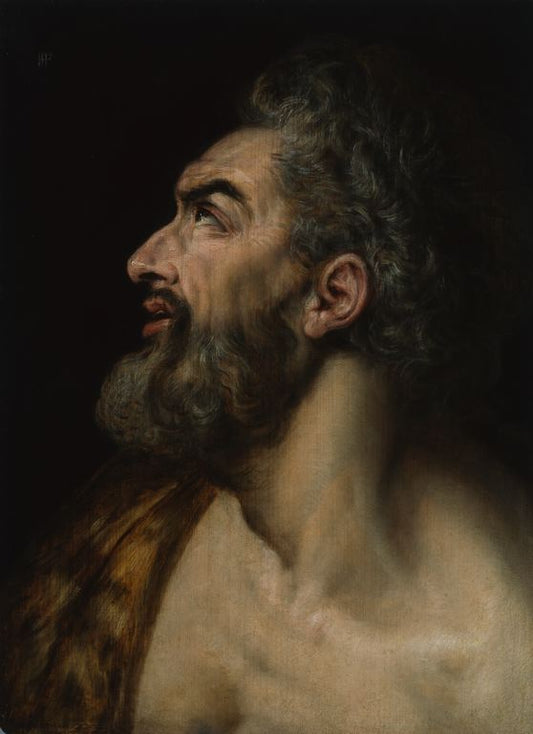 Study Head of a Bearded Man