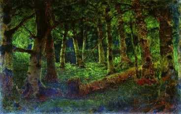 Birch Forest Forest 1880