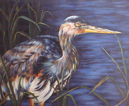 Birds Paintings N001