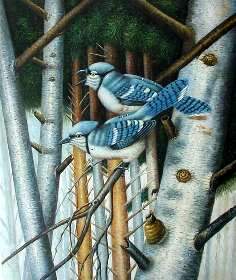 Birds Paintings N002