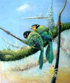 Birds Paintings N004