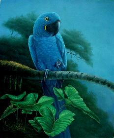 Birds Paintings N006