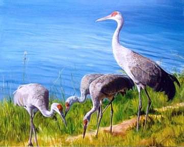 Birds Paintings N061