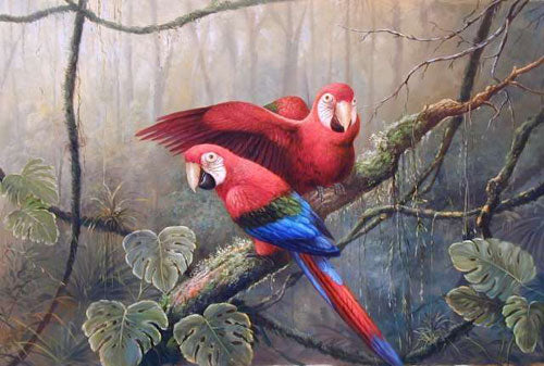 Birds Paintings N064