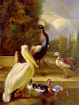 Birds Paintings N069