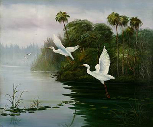 Birds Paintings N081