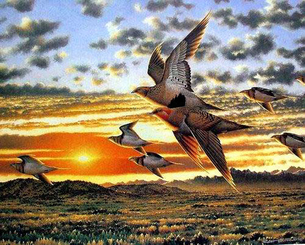 Birds Paintings N087