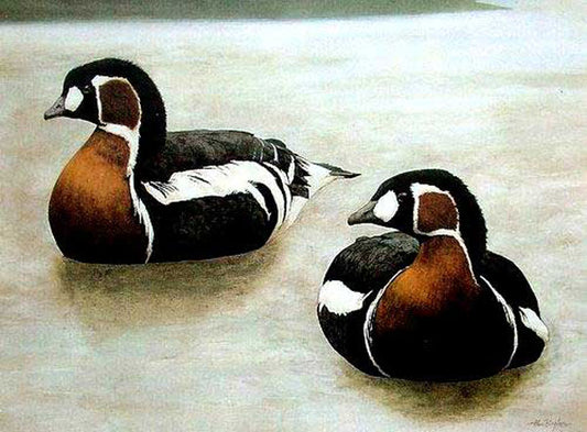 Birds Paintings N093