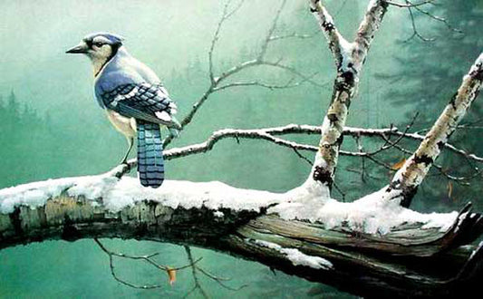 Birds Paintings N110