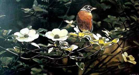 Birds Paintings N113