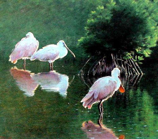 Birds Paintings N115