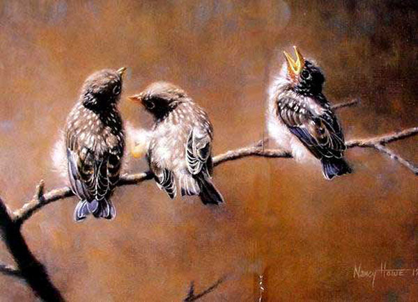 Birds Paintings N120