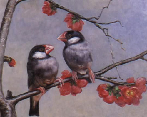 Birds Paintings N155