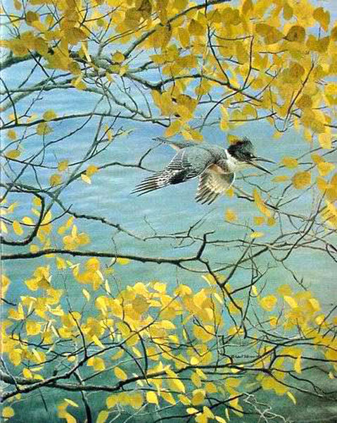 Birds Paintings N162