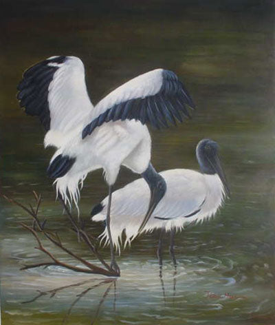 Birds Paintings N170