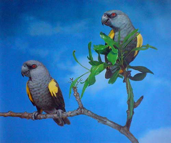 Birds Paintings N182