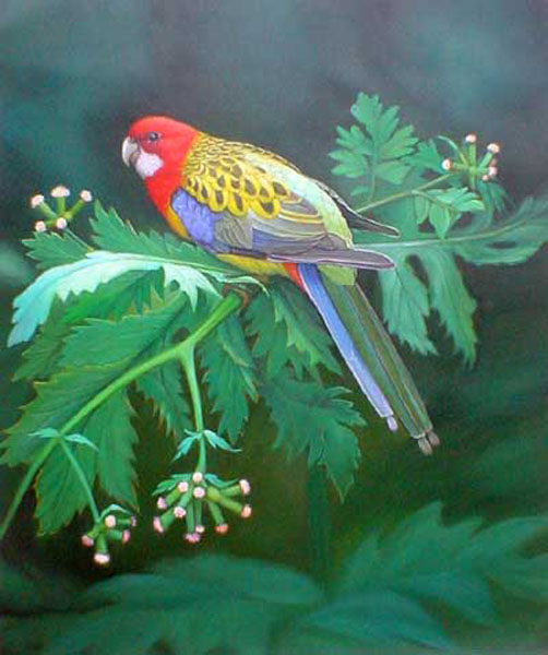 Birds Paintings N183