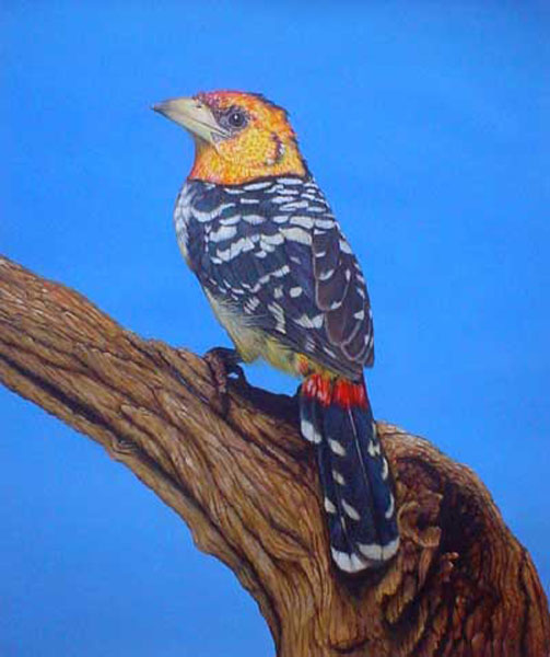 Birds Paintings N186