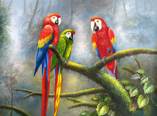 Birds Paintings N199