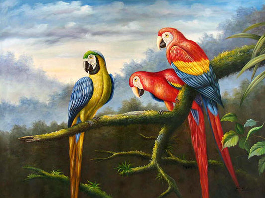 Birds Paintings N200