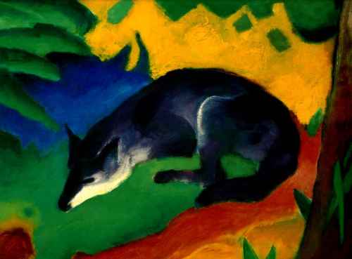 Blue-Black Fox