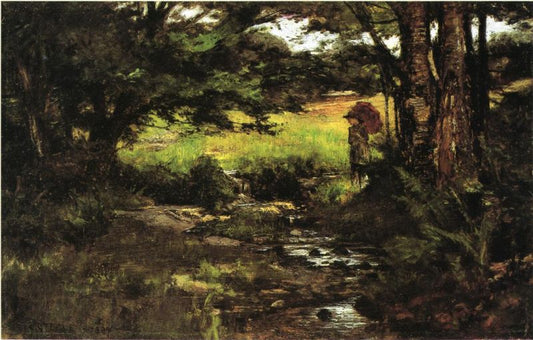 Brook in Woods