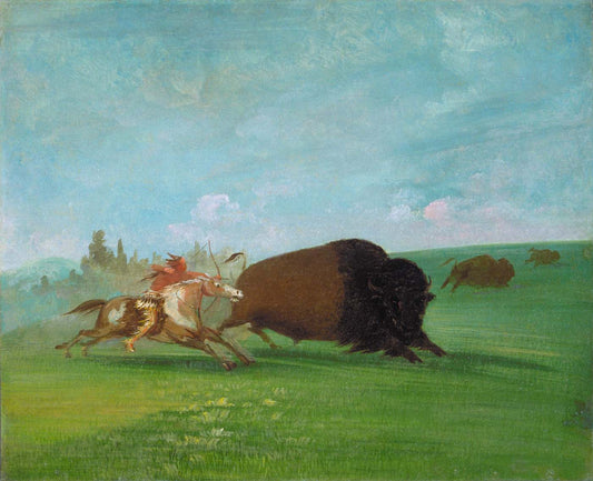 Buffalo Chase, a Single Death