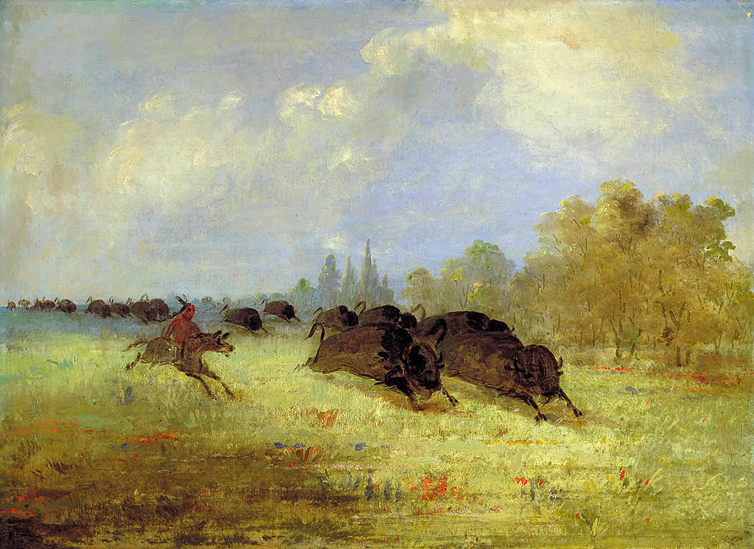 Caddo Indians Chasing Buffalo, Cross Timbers, Texas