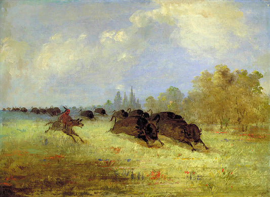 Caddo Indians Chasing Buffalo, Cross Timbers, Texas