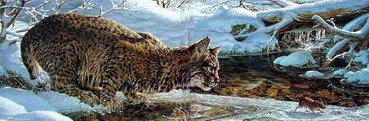 Cat Paintings N011