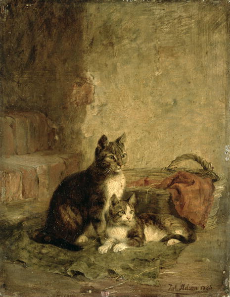 Cats 1883