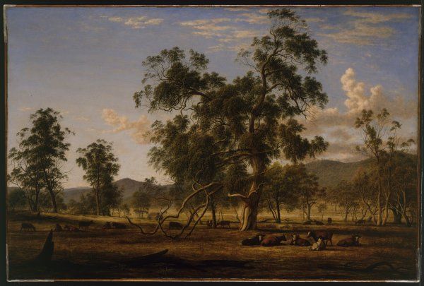 Australian Landscape with Cattle