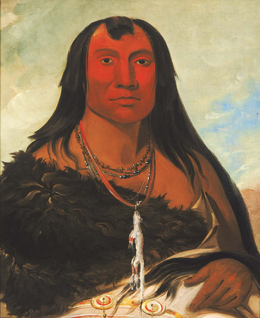 Chah ee chopes, Four Wolves, a Chief in Mourning