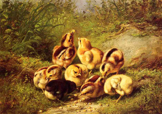 Chicks (Rather Hard Fare)