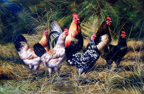 Chook Paintings N002