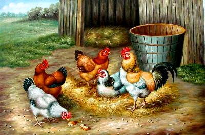 Chook Paintings N006